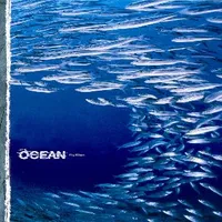 FluXion - The Ocean Collective