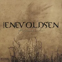 Flying Solo - Torben Enevoldsen
