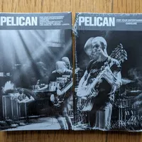 For Your Entertainment / Gasoline - Pelican