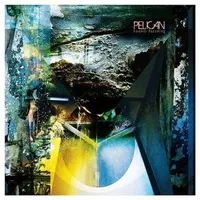 Forever Becoming - Pelican