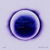 Fractured Calm - Funus