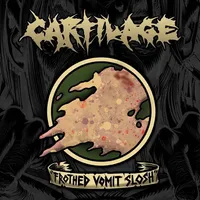 Frothed Vomit Slosh - Cartilage
