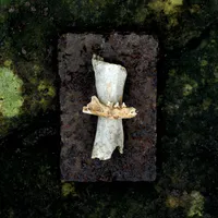 Fust - Nomadic Rituals