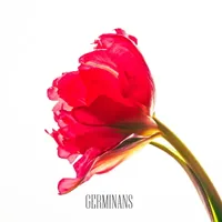 Germinans - Saki