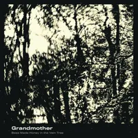 Grandmother - Bees Made Honey in the Vein Tree