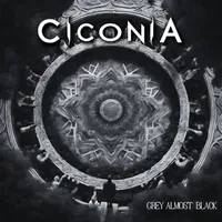 Grey Almost Black - Ciconia
