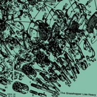 Gun - The Grasshopper Lies Heavy