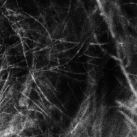 Haematophoryktos - Hadopelagyal