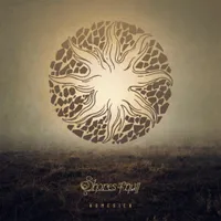 Homesick - Shores of Null