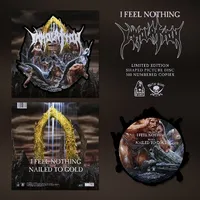 I Feel Nothing - Immolation