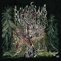 II: Chemognosis - A Shortcut to Mushrooms - Boarhammer