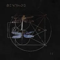II - Benthos