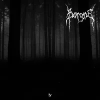 IV - Borgne