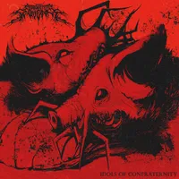 Idols of Confraternity - The Absolution Sequence