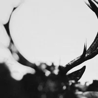 Ihsahn (Orchestral) - Ihsahn
