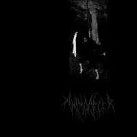 Impuls - Animo Aeger