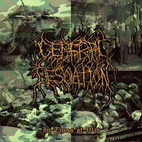 In Times of War - Cerebral Desolation