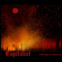 In the Days of the Crimson Sun - Capitalist