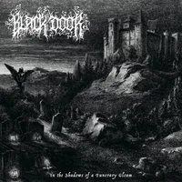 In the Shadows of a Funerary Gleam - Black Door