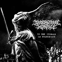 In the Streams of Phlegethon - Terrestrial Hospice