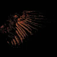 Incandescent - Fryktelig Støy