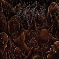 Inclination - Vulnificus