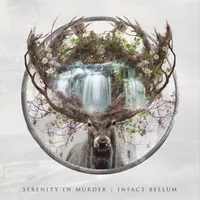 Infact Bellum - Serenity in Murder