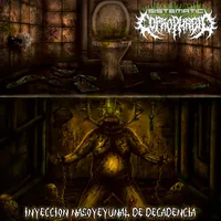 Inyección nasoyeyunal de decadencia - Sistematic Coprophagia