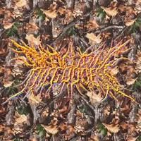 It's Easy to Have a Good Time When You Feel Good - Disfiguring the Goddess
