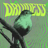 Knightingales - Druidess