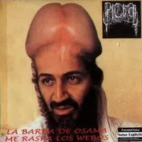 La barba de Osama me raspa los webos - Picha