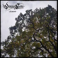 Lament - Vanessa Funke