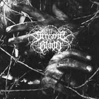 Leichenlager - Streams of Blood