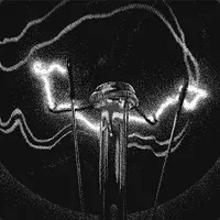 Light Pollution - The Ocean Collective