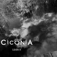 Limbus - Ciconia