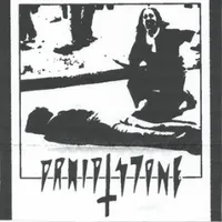 Live in Leesburg, 1 - Druid Stone