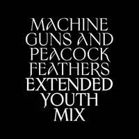 Machine Guns and Peacock Feathers (Extended Youth Mix) - Ulver