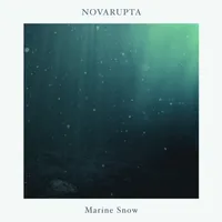 Marine Snow - Novarupta