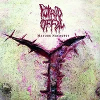 Mature Necropsy - Putrid Offal