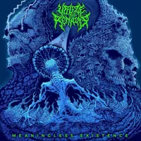 Meaningless  Existence - Utilize the Remains