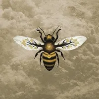 Medicine - Bees Made Honey in the Vein Tree