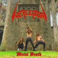 Metal Death - Interceptor