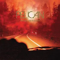 Midnight and Mescaline - Pelican