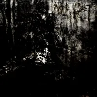MoRT - Blut aus Nord