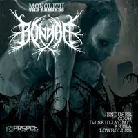 Monolith - The Remixes - Bong-Ra