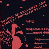 Mother of Serpents Jam (Circuit Breaker Bootleg) - Druid Stone
