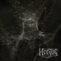 Mugwort - Herzog