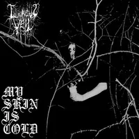 My Skin Is Cold - Luminous Veil