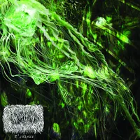 N'yxlwrr - Ar'lyxkq'wr