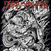 Never Give In - Tygers of Pan Tang